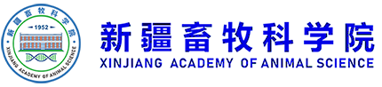 专题网站